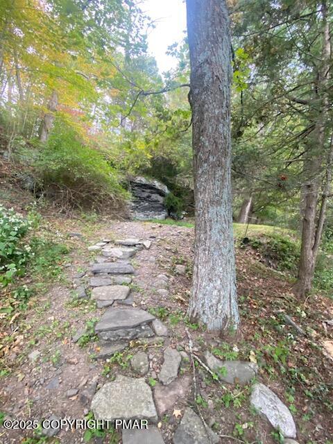 1153 Milford Road Dingmans Ferry, PA 18328 - Photo 16 of 50 a view of a yard