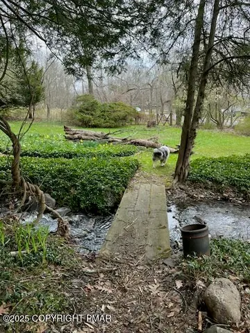 a view of a garden with large trees