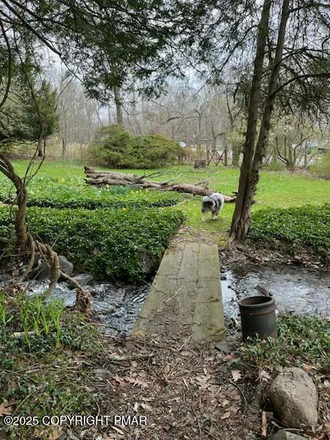 1153 Milford Road Dingmans Ferry, PA 18328 - Photo 3 of 50 a view of a garden with large trees