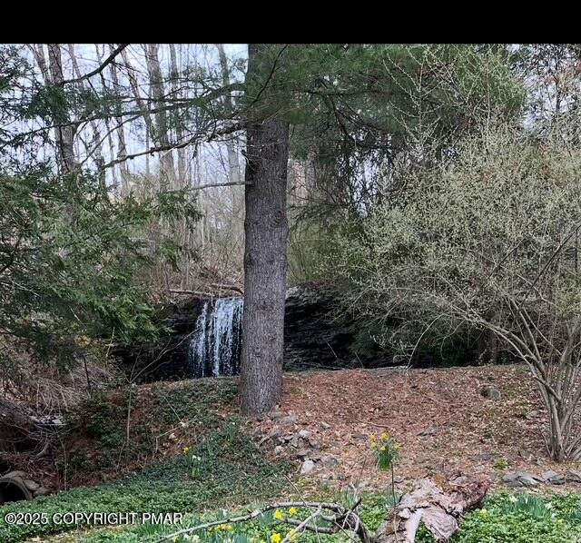 1153 Milford Road Dingmans Ferry, PA 18328 - Photo 5 of 50 a view of a yard