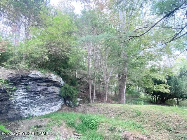 a big yard with lots of green space and trees