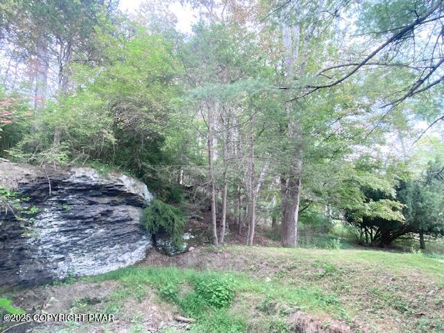 1153 Milford Road Dingmans Ferry, PA 18328 - Photo 6 of 50 a big yard with lots of green space and trees