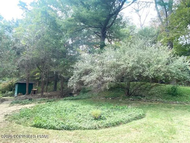 a view of a small yard in front of a house with a fountain