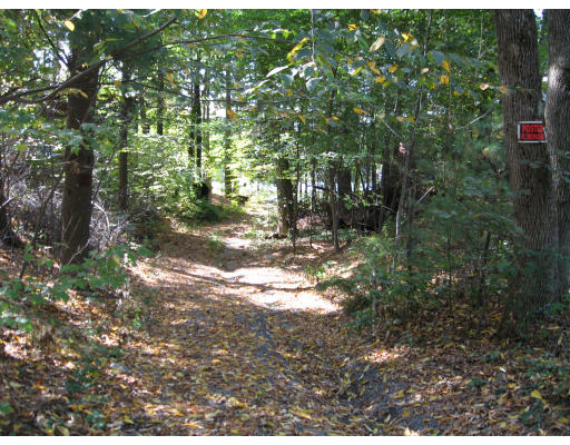 98 Kingland Road Stow, MA 01775 - Photo 15 of 15 a view of a yard with plants and large trees