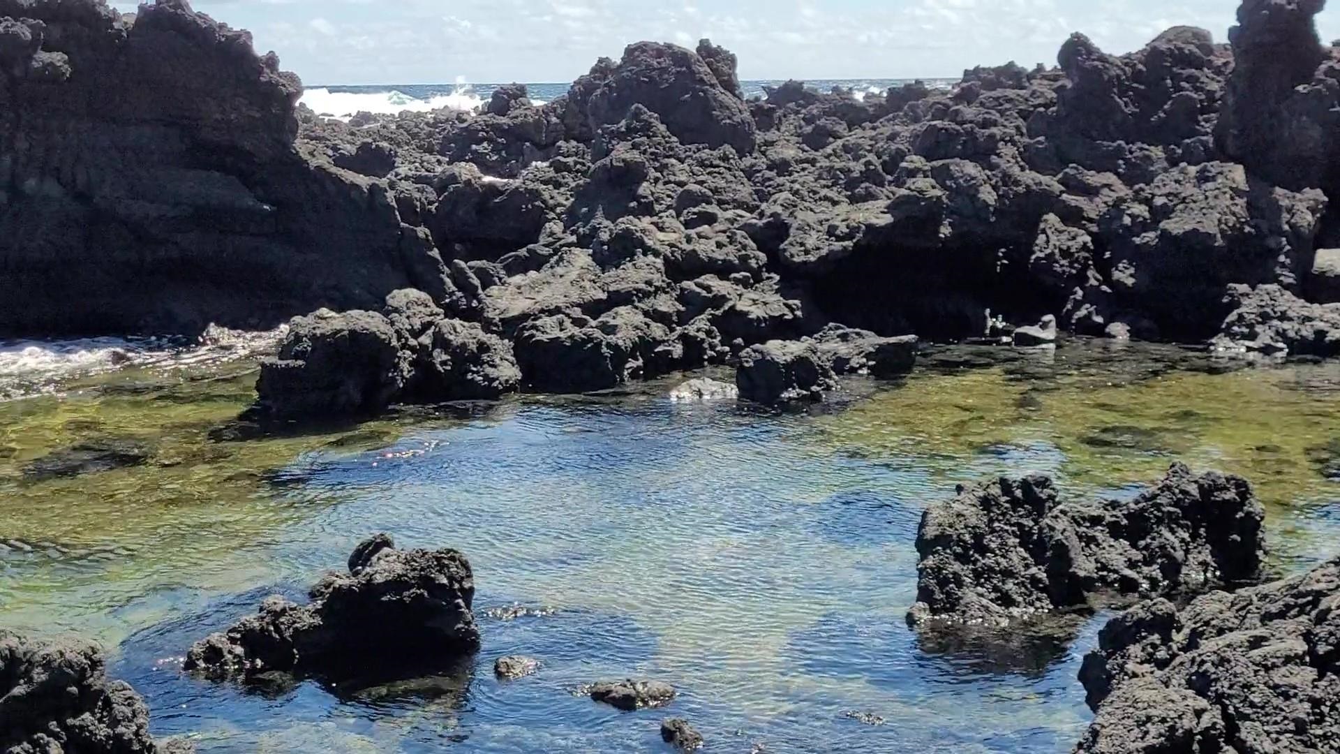 Keanae Road Hana, HI 96713 - Photo 23 of 29 a large body of water with a large tree in the background