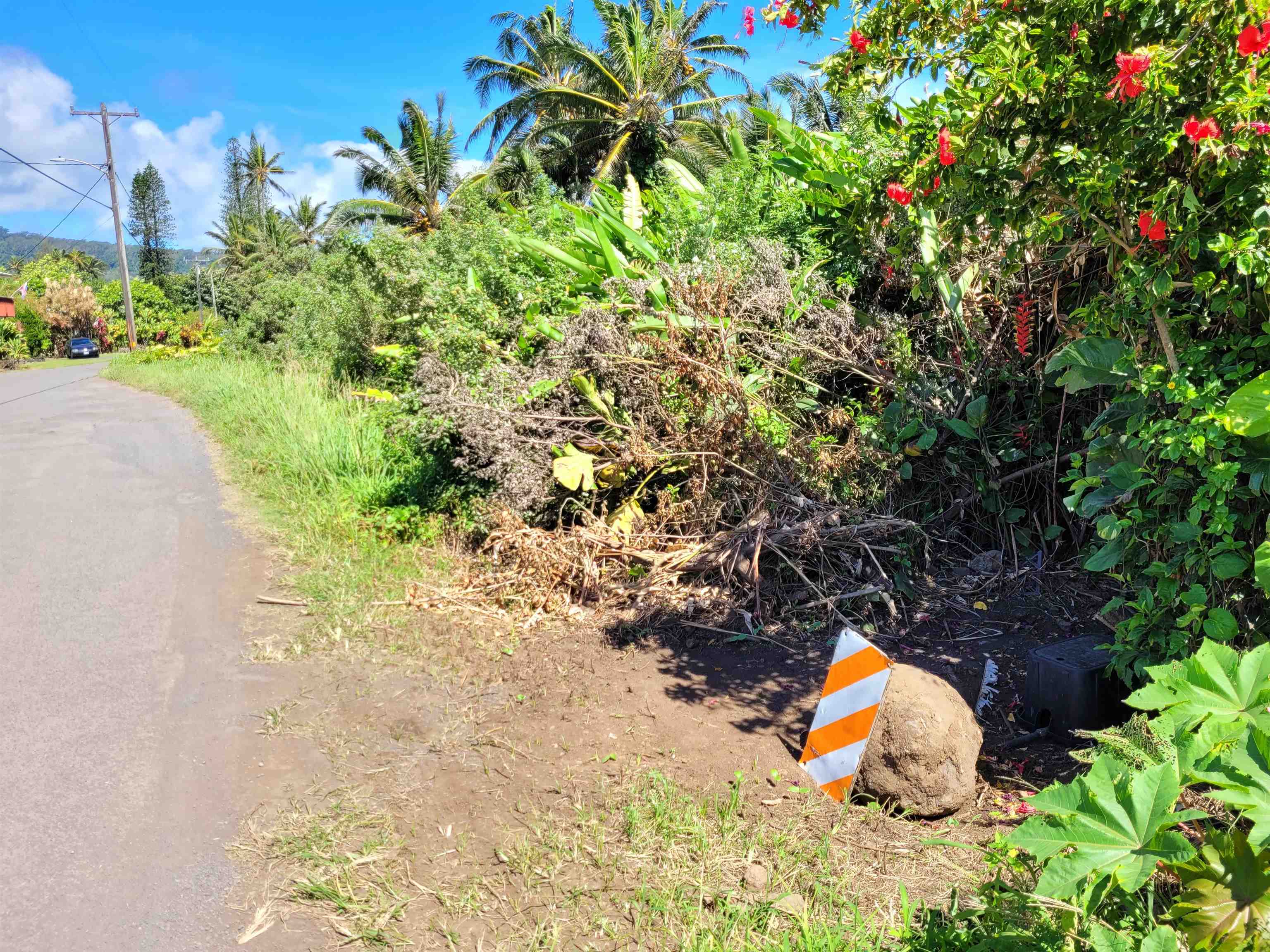 Keanae Road Hana, HI 96713 - Photo 4 of 29 a view of a fire pit with large trees