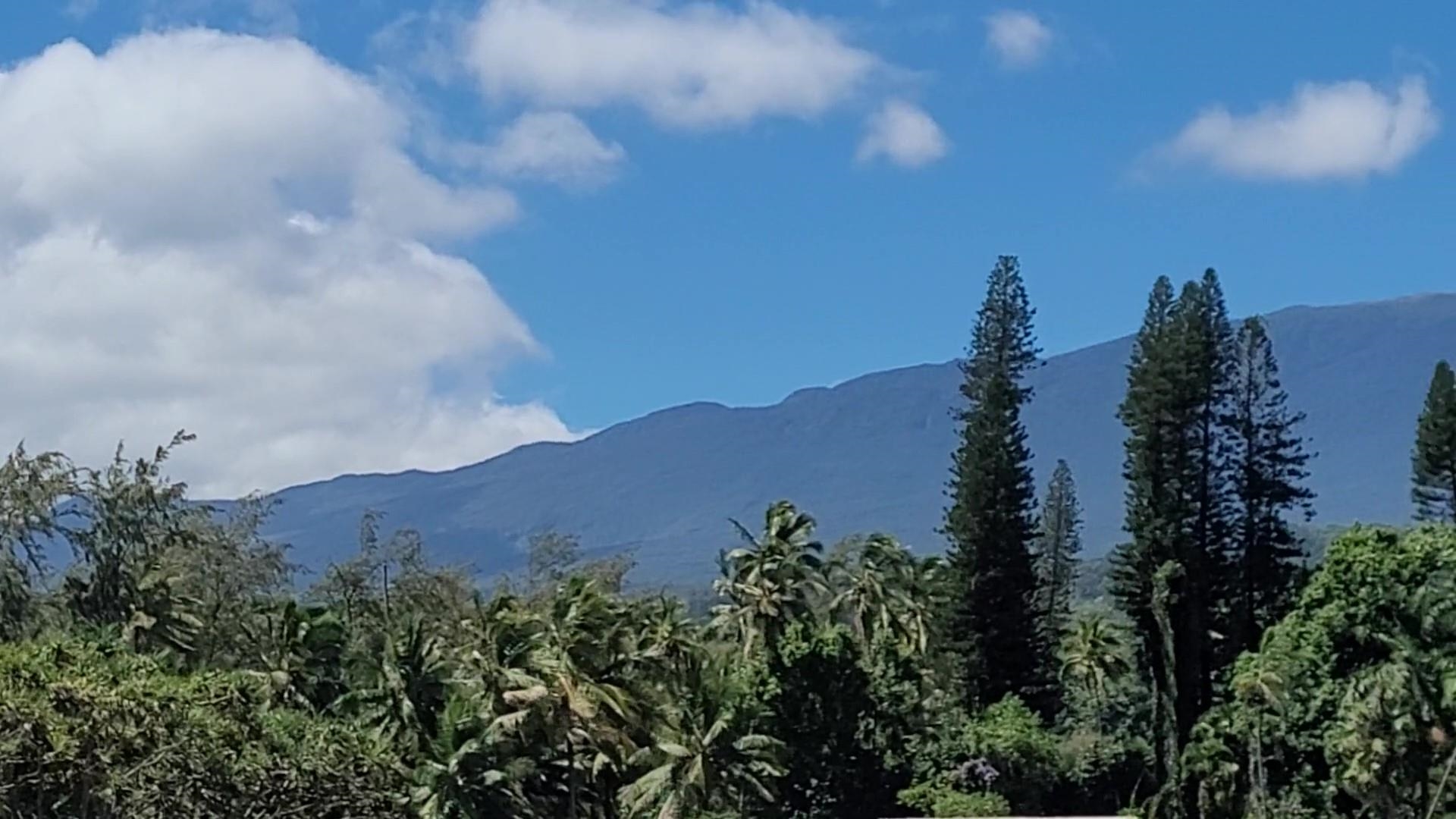 Keanae Road Hana, HI 96713 - Photo 6 of 29 a view of a house with a yard and mountains in the background