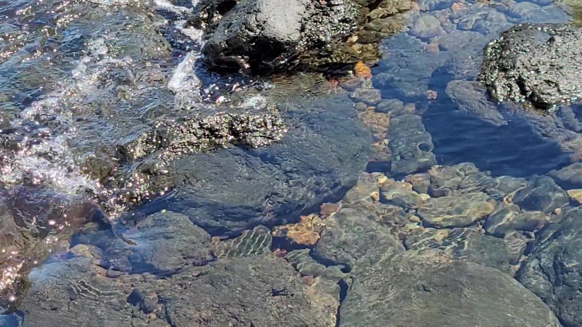 Keanae Road Hana, HI 96713 - Photo 7 of 29 a view of a tree in a yard