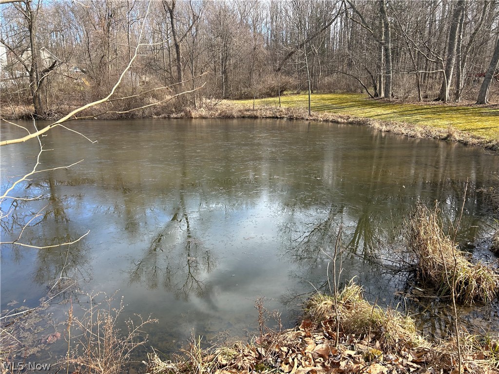 1283 Nesbitt Road Northfield, OH 44067 - Photo 18 of 22 View of water view
