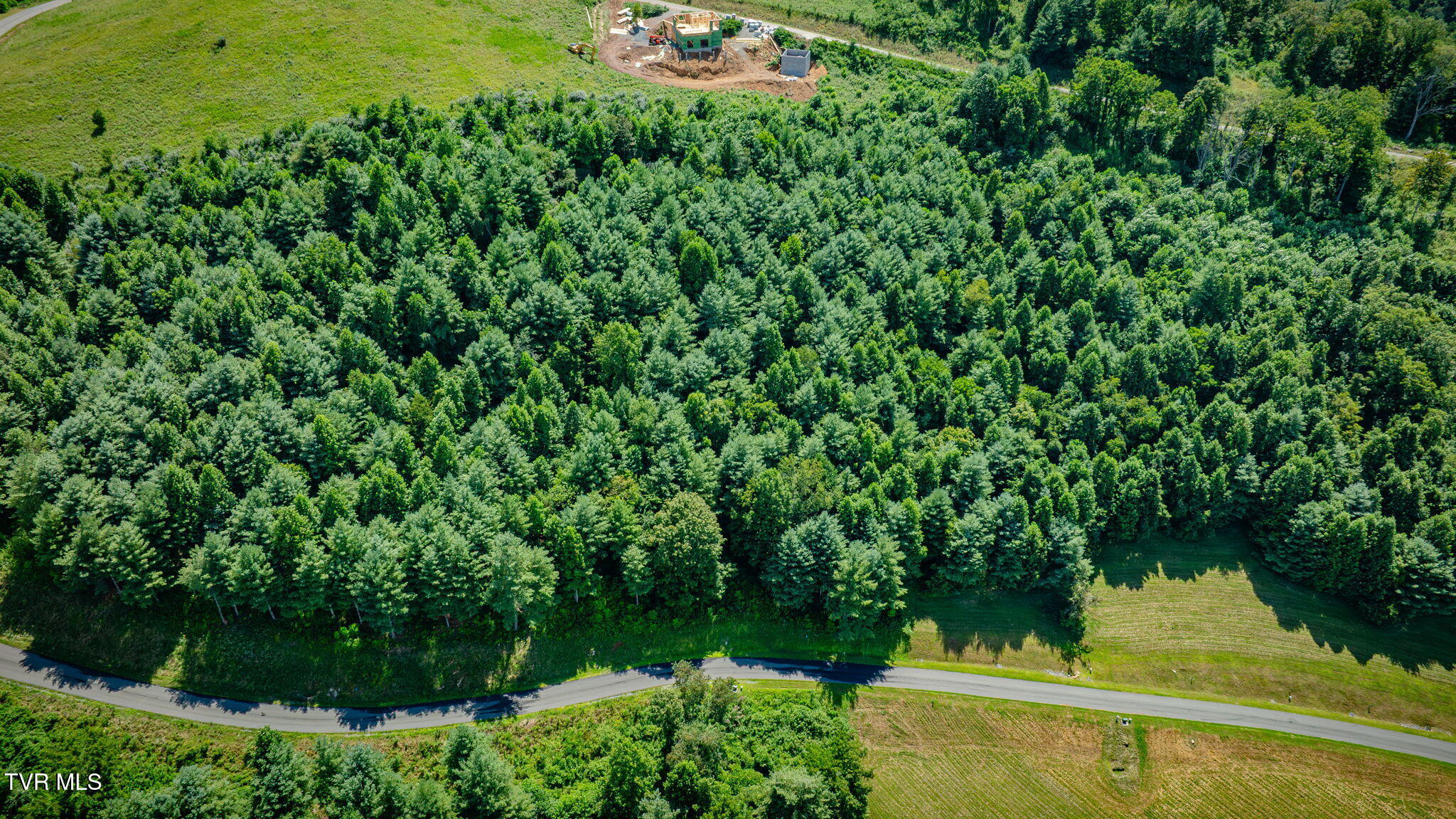 Lot 10 Cowan Town Road, Unit 10 Butler, TN 37640 - Photo 11 of 23 101