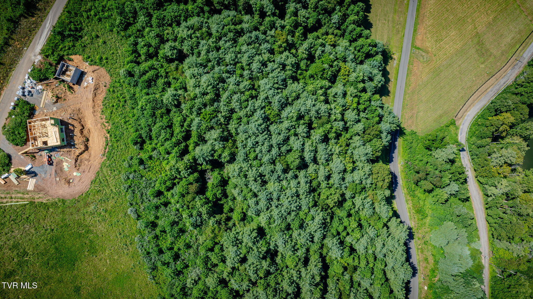 Lot 10 Cowan Town Road, Unit 10 Butler, TN 37640 - Photo 20 of 23 114