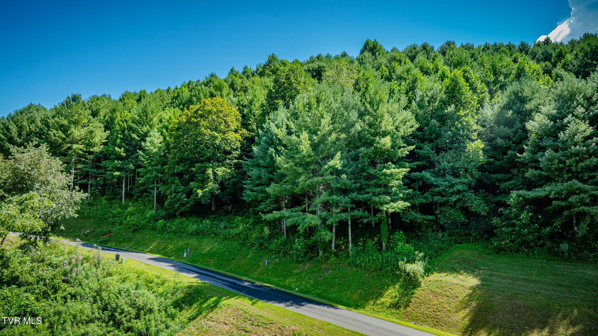 Lot 10 Cowan Town Road, Unit 10 Butler, TN 37640 - Photo 6 of 23 106