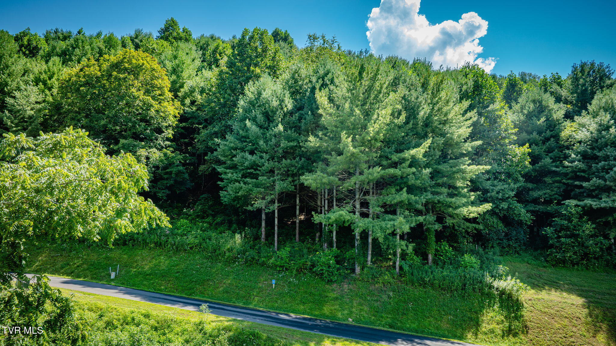 Lot 10 Cowan Town Road, Unit 10 Butler, TN 37640 - Photo 7 of 23 105