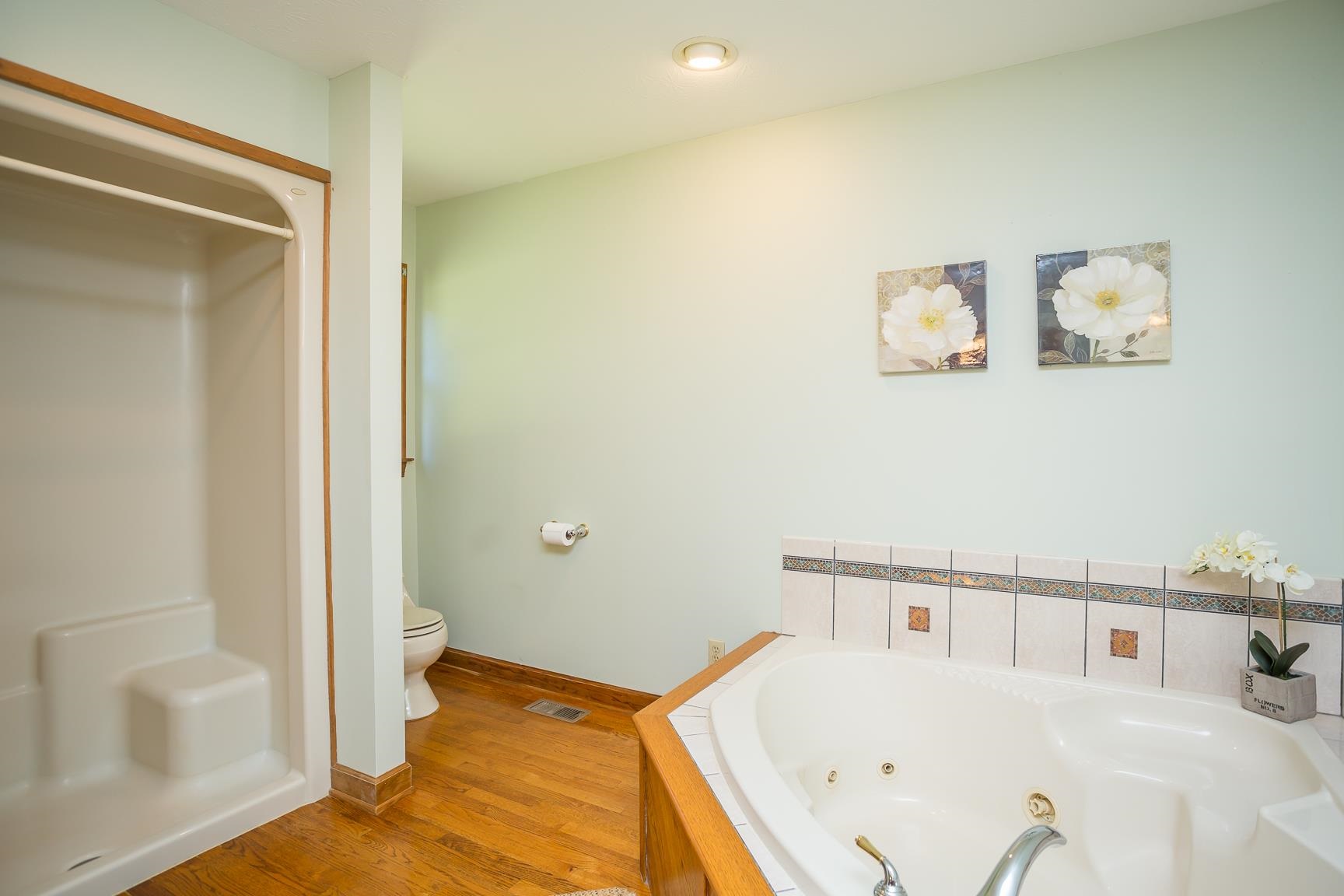 8455 East Timber Ridge Road Mount Crawford, VA 22841 - Photo 34 of 62 a bathroom with a tub and shower
