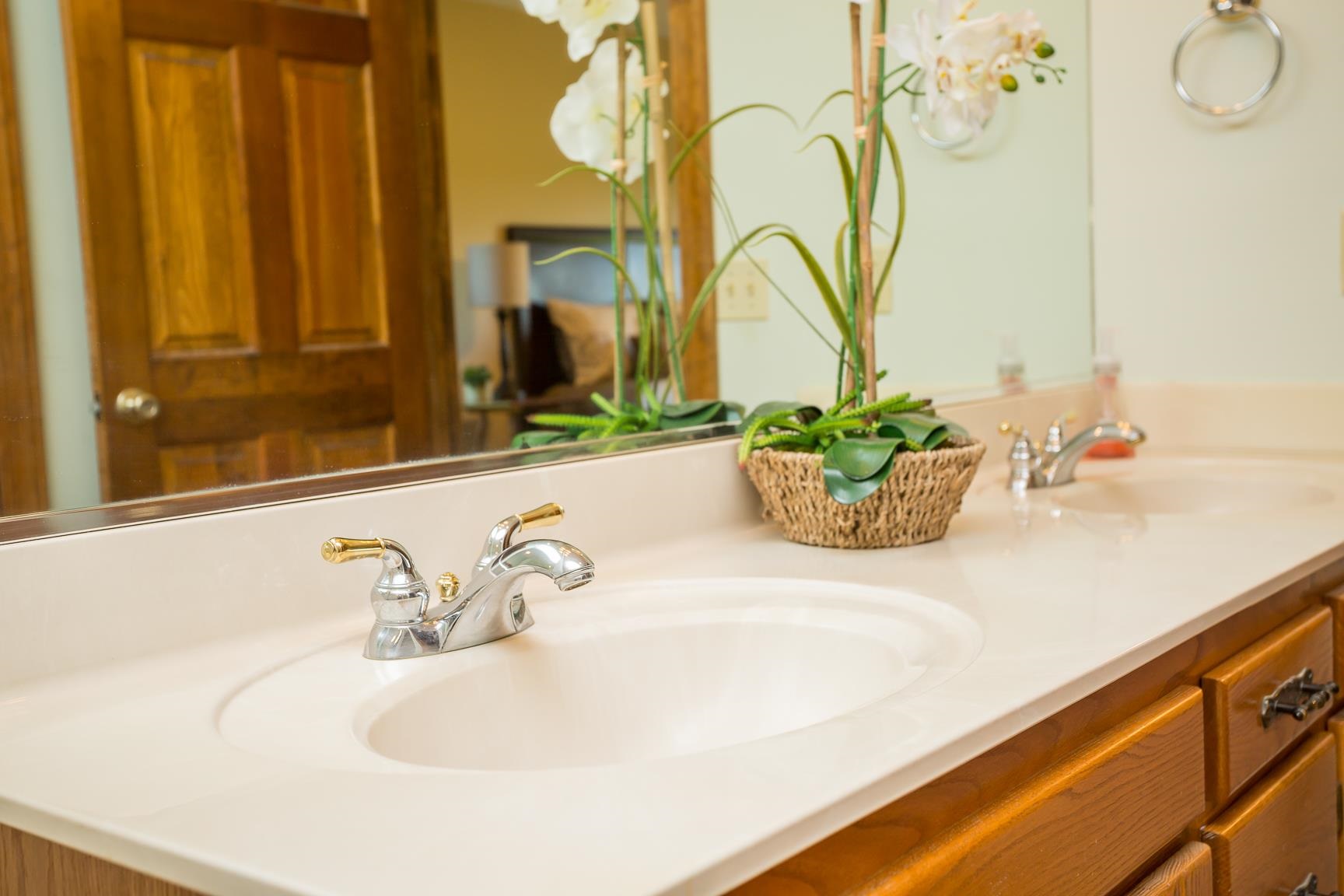 8455 East Timber Ridge Road Mount Crawford, VA 22841 - Photo 38 of 62 a bathroom with a sink and a mirror