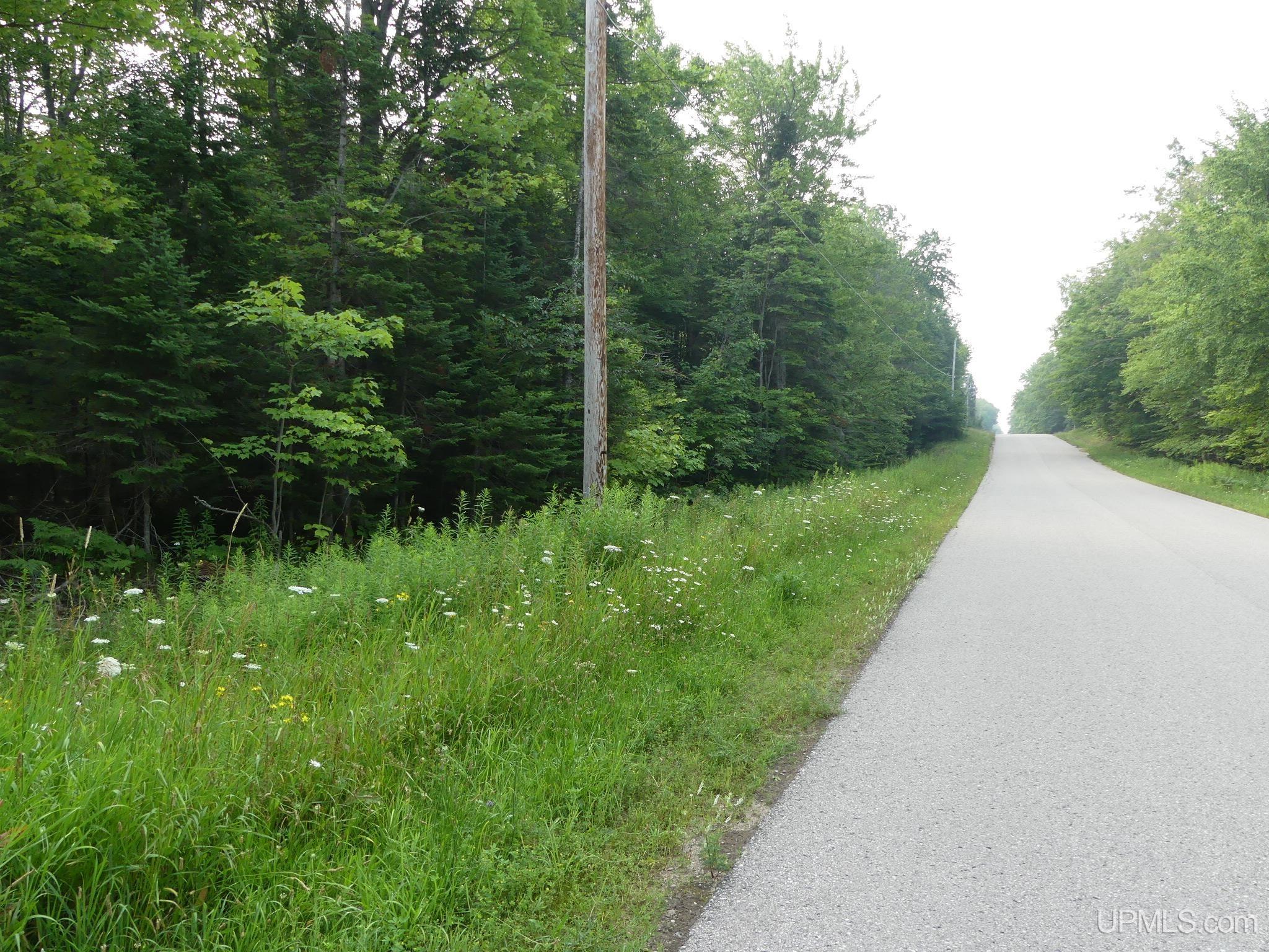 0 East Cemetery Road Grand Marais, MI 49839 - Photo 3 of 12 Gallery Image 3