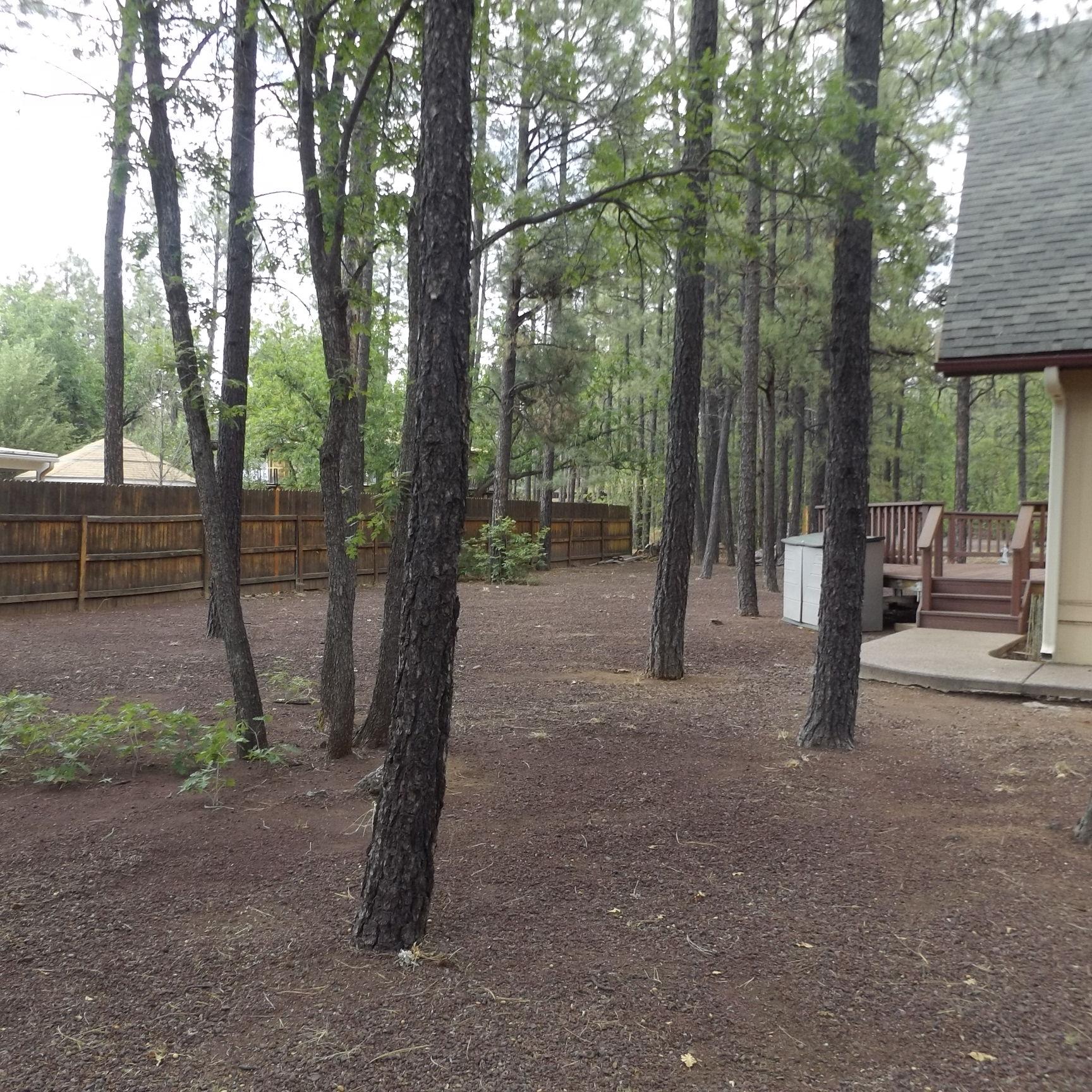 6734 Buck Springs Road Pinetop, AZ 85935 - Photo 4 of 14 Gallery Image 4