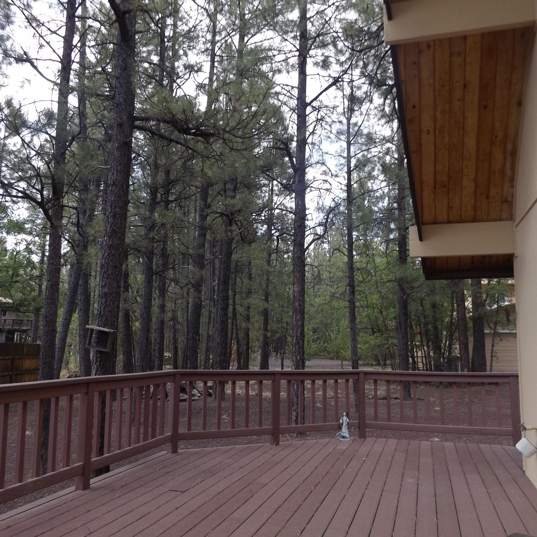 6734 Buck Springs Road Pinetop, AZ 85935 - Photo 5 of 14 Gallery Image 5