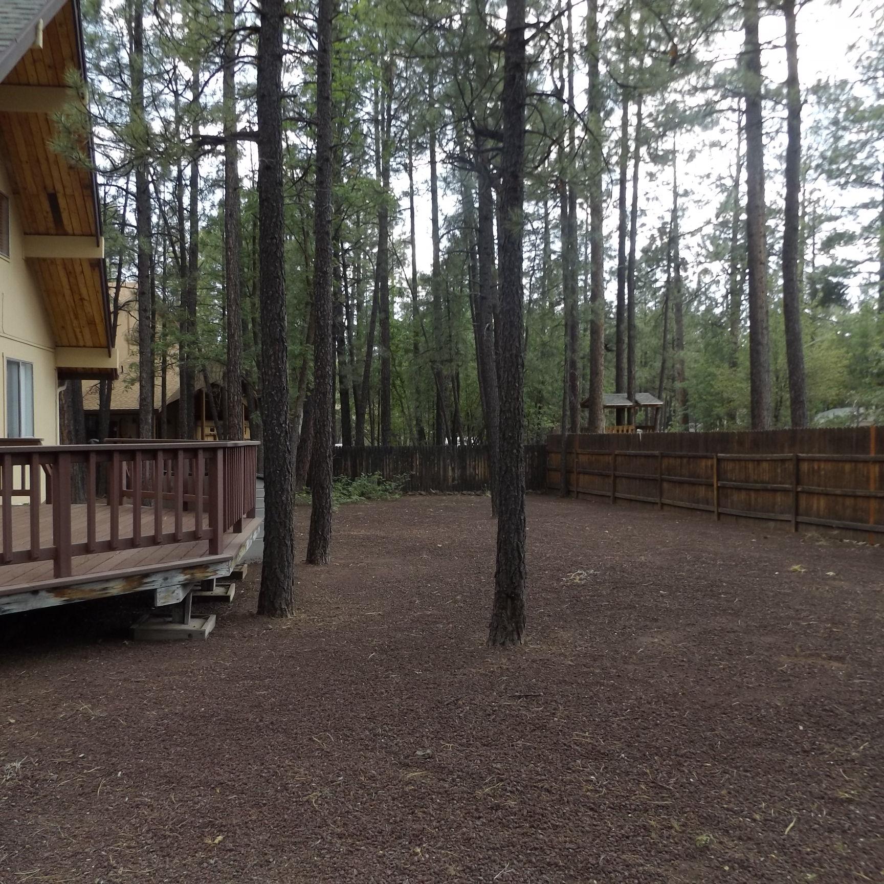 6734 Buck Springs Road Pinetop, AZ 85935 - Photo 6 of 14 Gallery Image 6