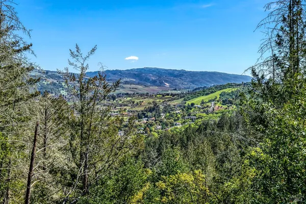 a view of mountain and tree