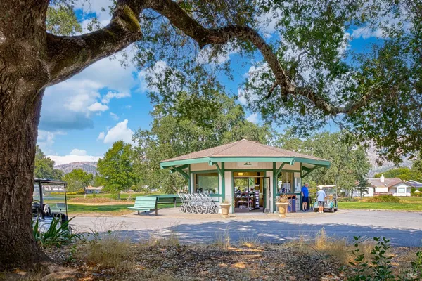a view of a park with large trees