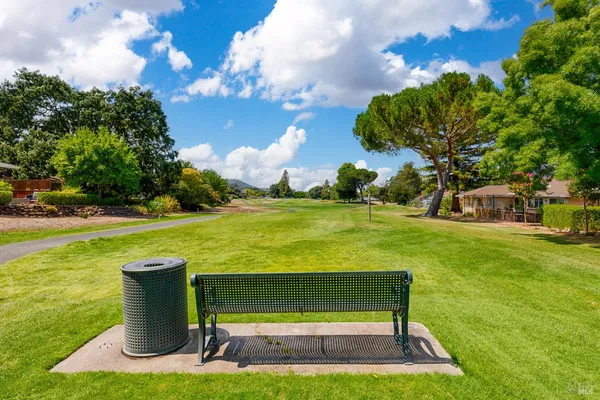 a view of a town with large trees