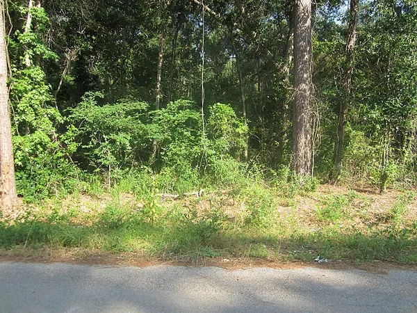 $102,000 | 31127 Primrose Lane, Magnolia, TX 77354