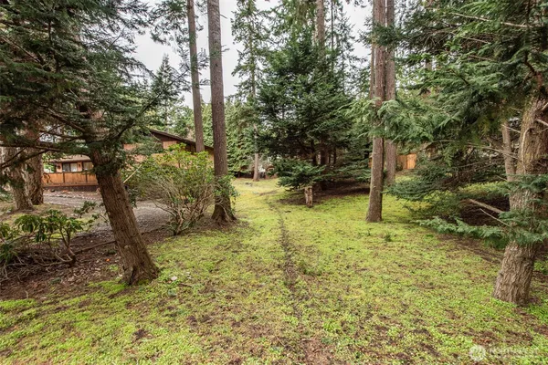 a view of swimming pool with a tree