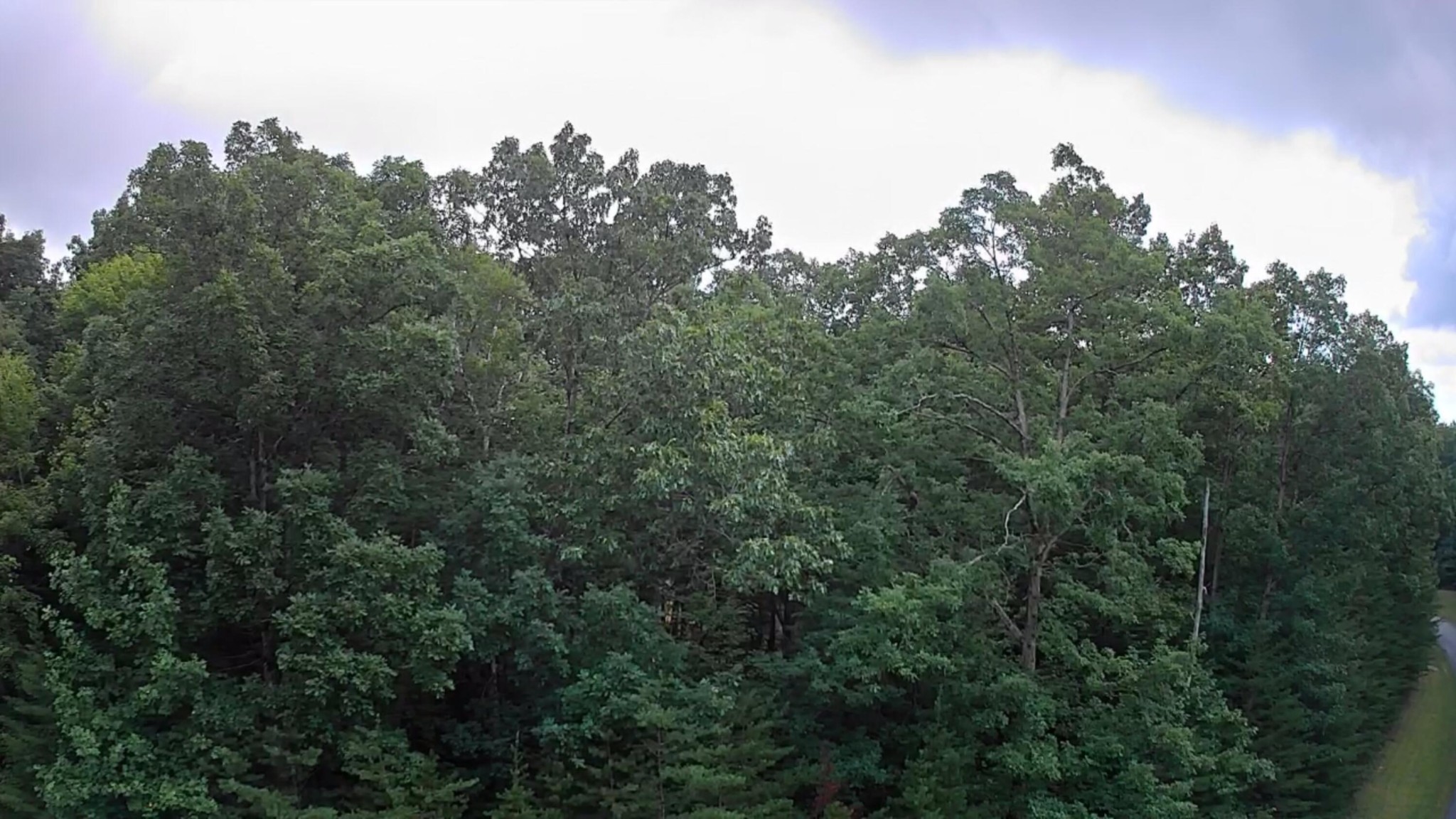 0 Ridge View Drive Spencer, TN 38585 - Photo 2 of 17 Gallery Image 2