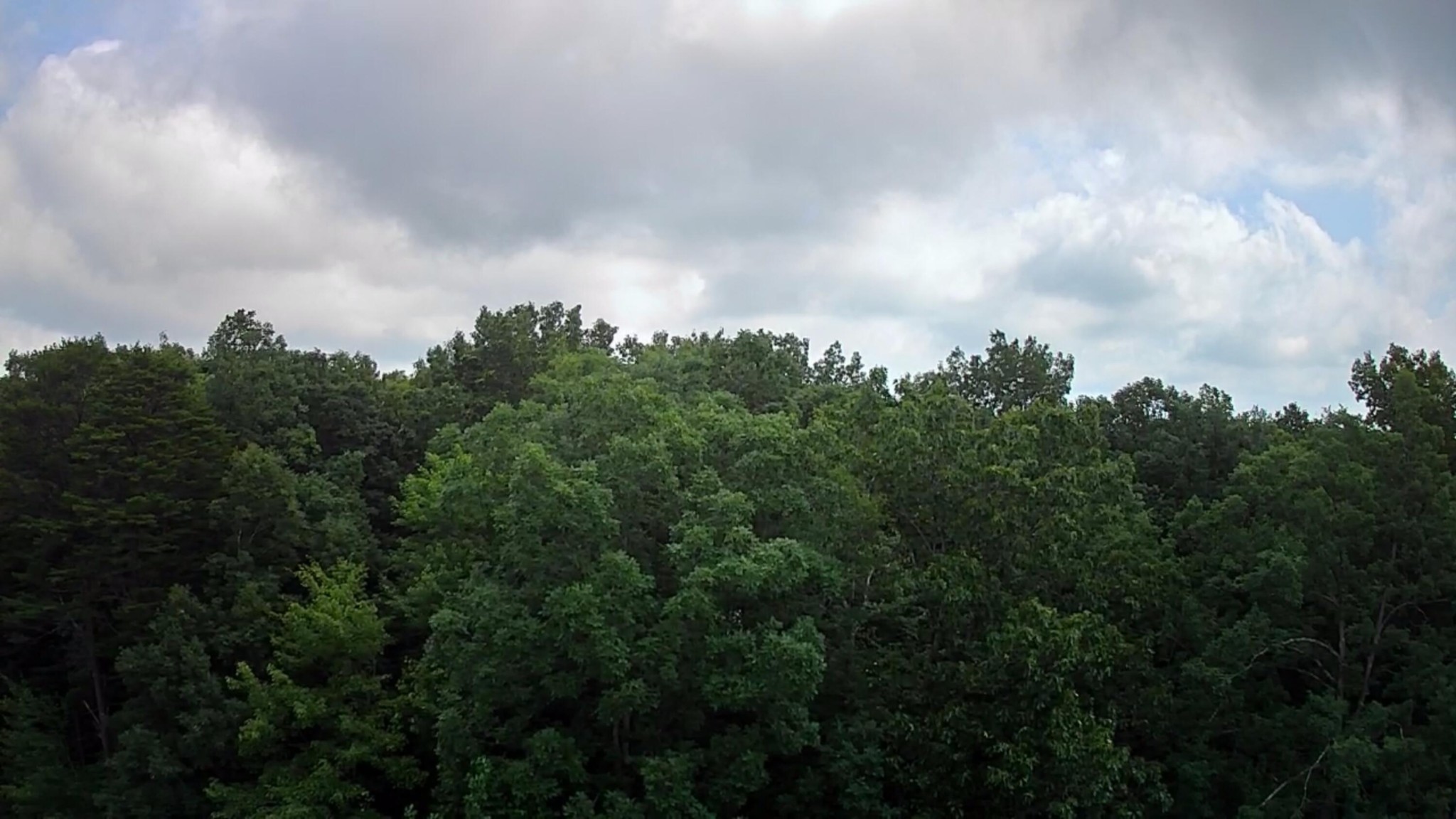 0 Ridge View Drive Spencer, TN 38585 - Photo 3 of 17 Gallery Image 3