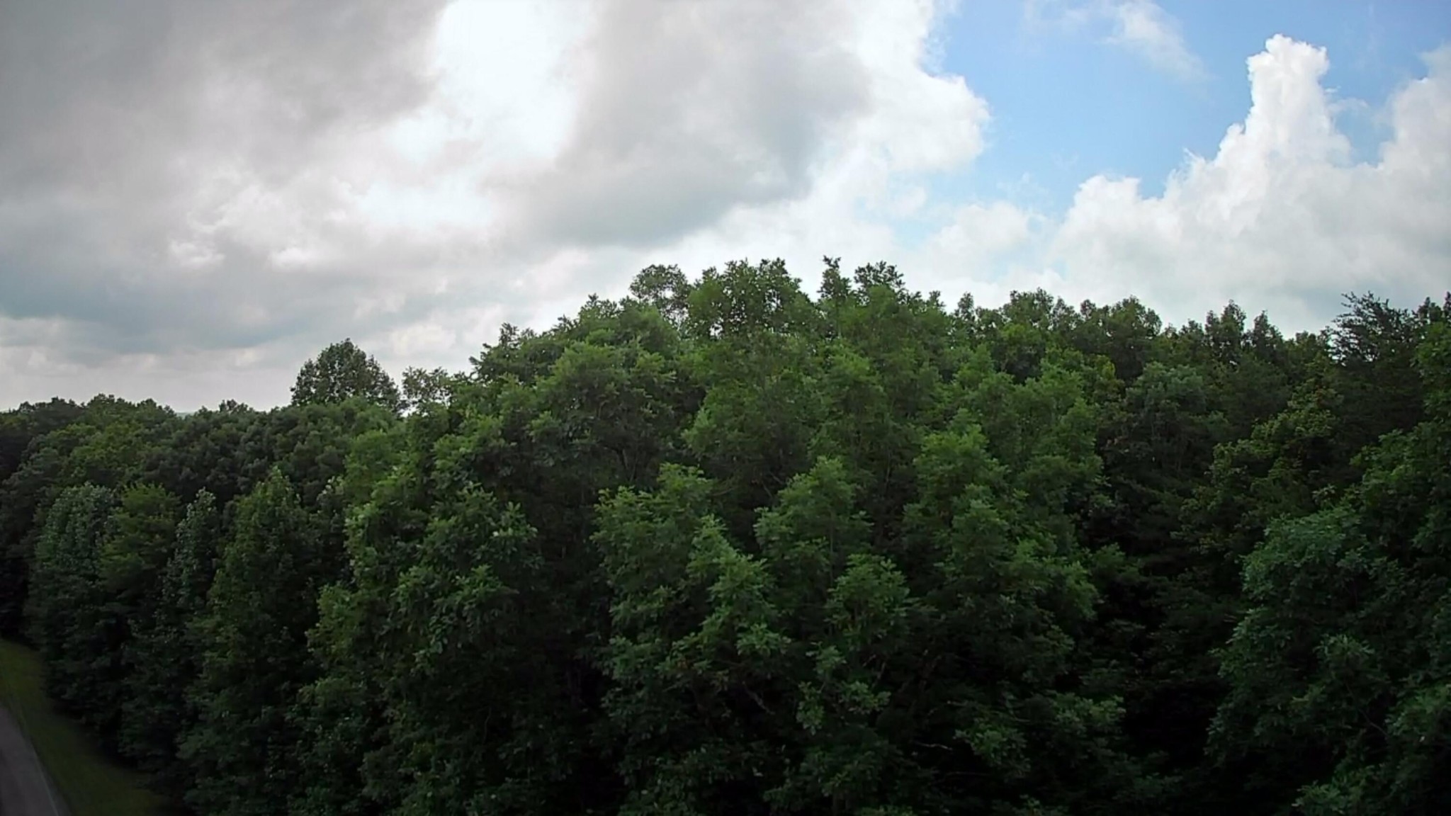 0 Ridge View Drive Spencer, TN 38585 - Photo 8 of 17 Gallery Image 8