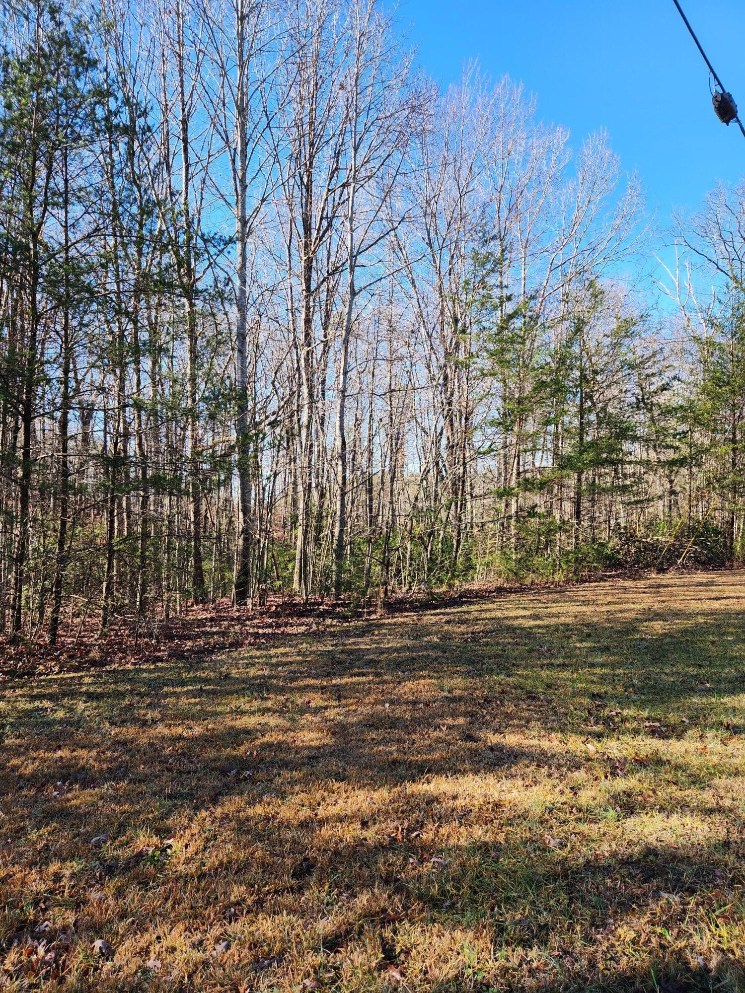 0 Ridge View Drive Spencer, TN 38585 - Photo 9 of 17 Gallery Image 9
