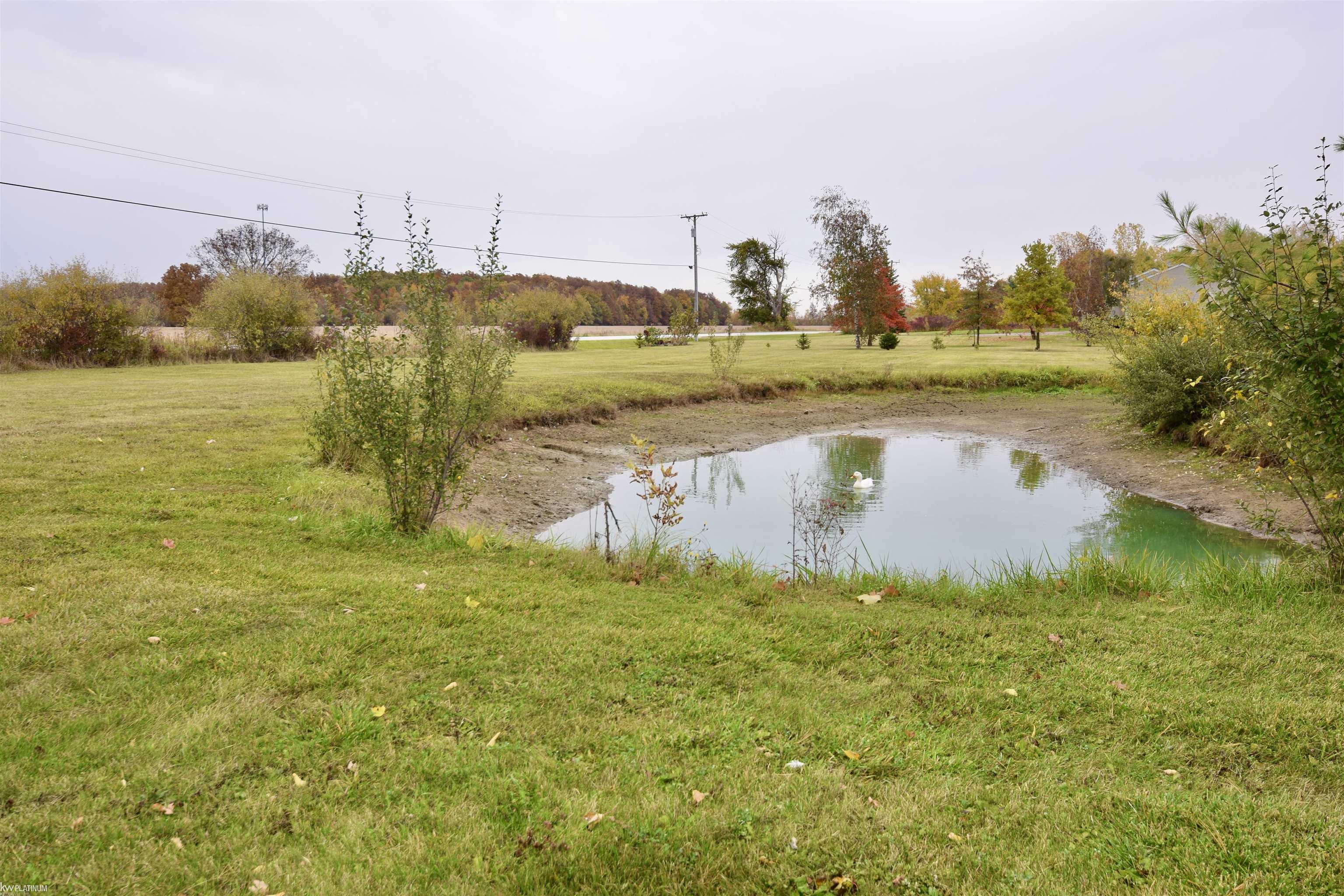 1490 Braidwood Road Memphis, MI 48041 - Photo 26 of 28