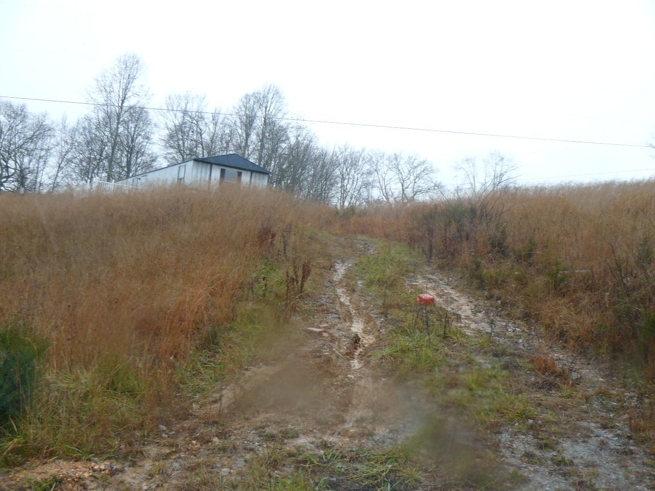 Cline Road Tazewell, TN 37879 - Photo 5 of 7 P1350201