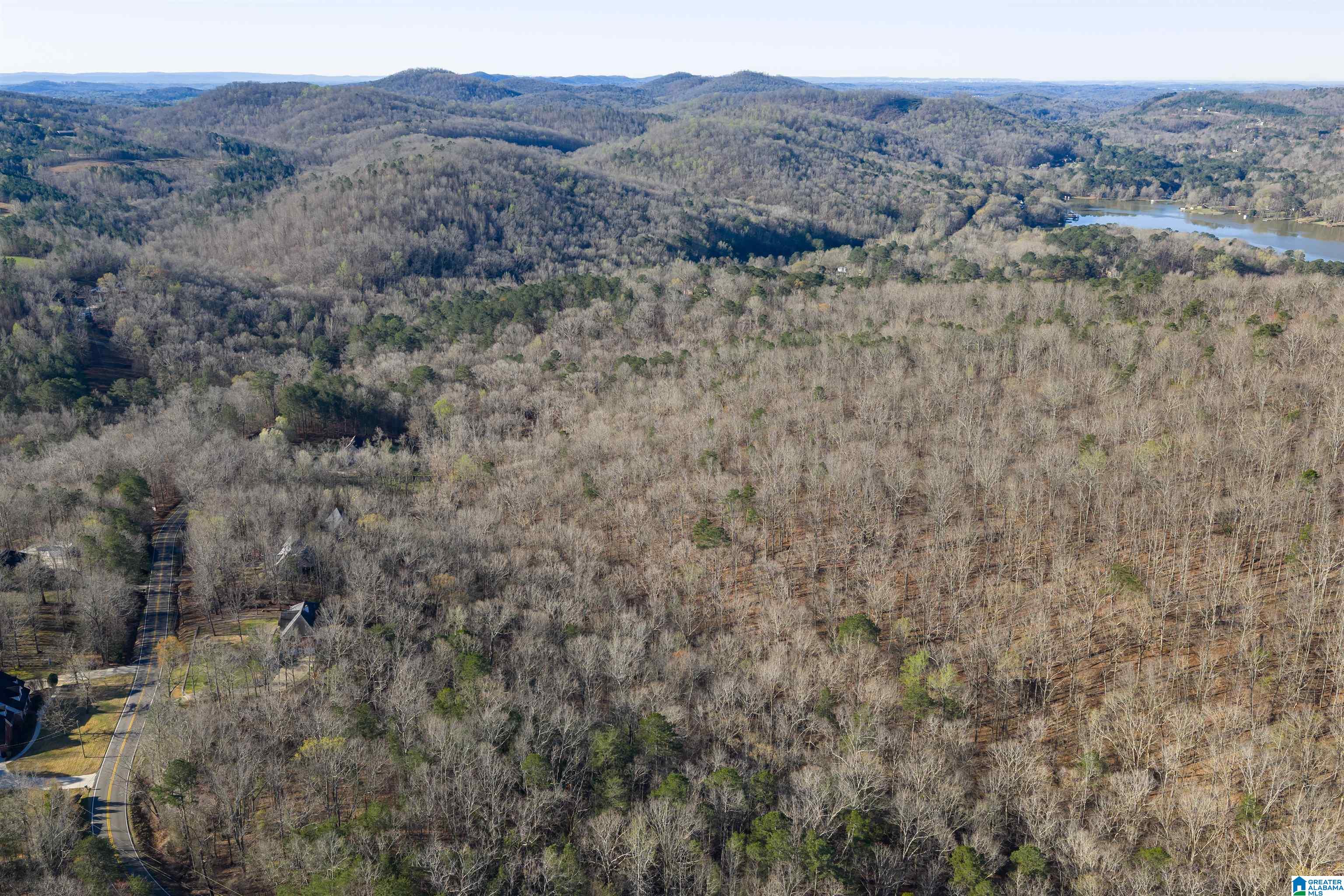 8560 Pine Mountain Road Pinson, AL 35126 - Photo 55 of 59
