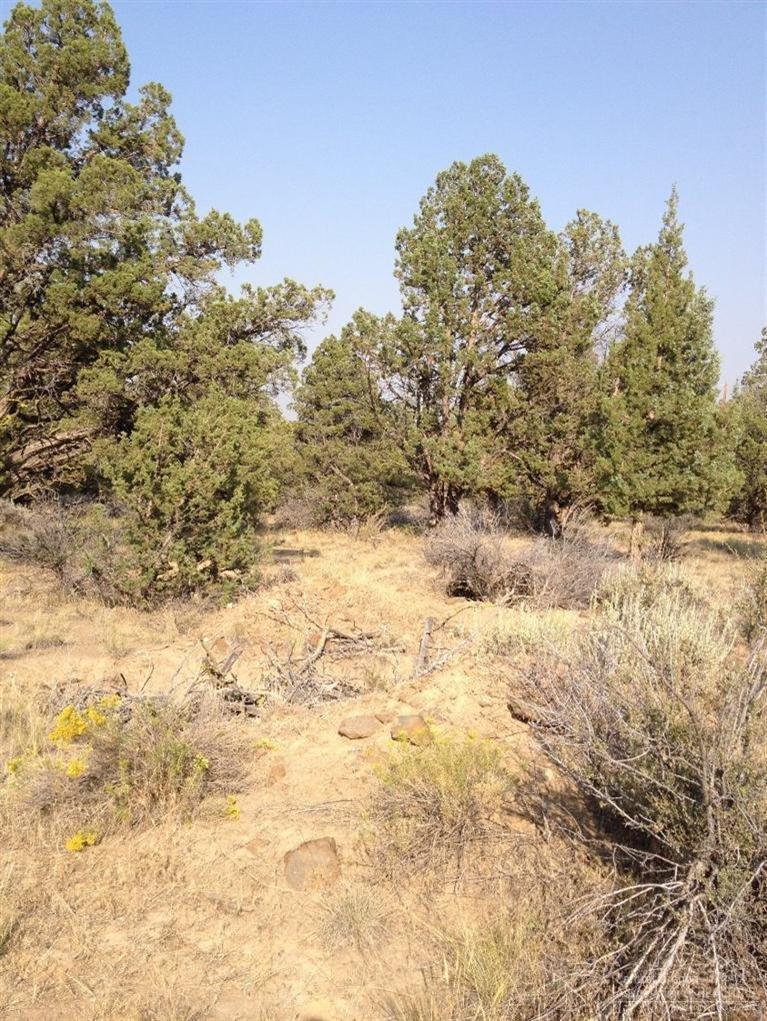 Septic Feasibility approved in in 2004.