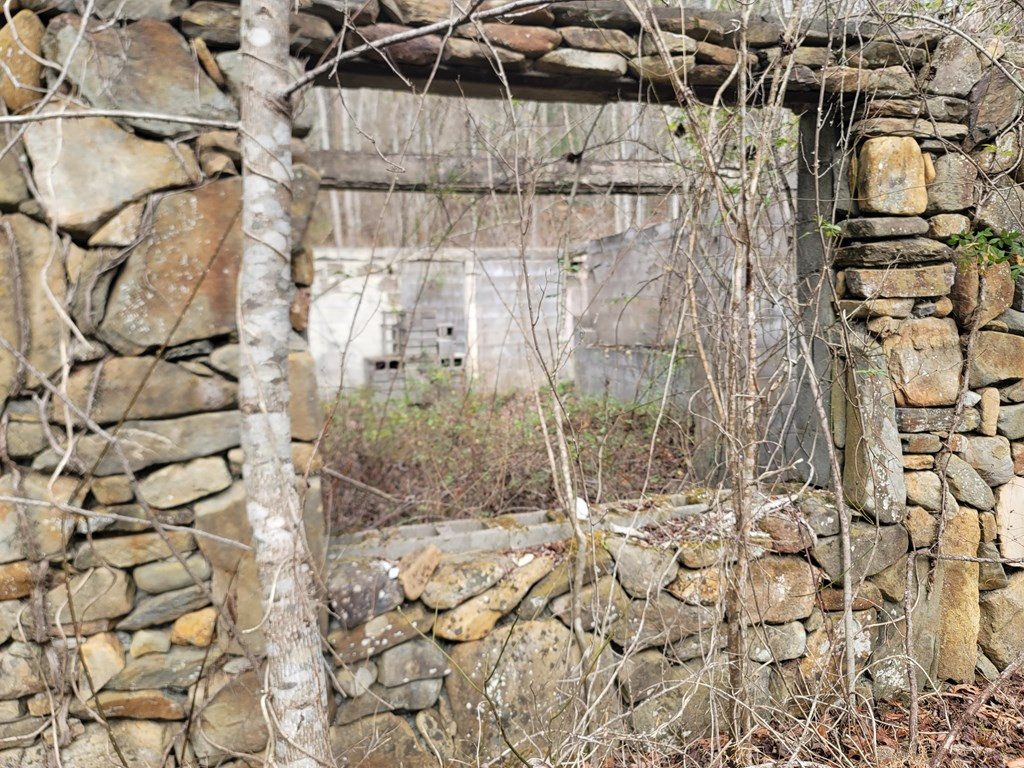 999 Pounding Mill Road Marble, NC 28905 - Photo 7 of 23 Gallery Image 7