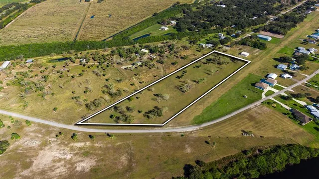 a view of a park with palm trees