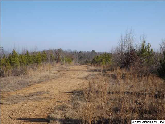 286 County Road, Unit 85 Collinsville, AL 35961 - Photo 14 of 23