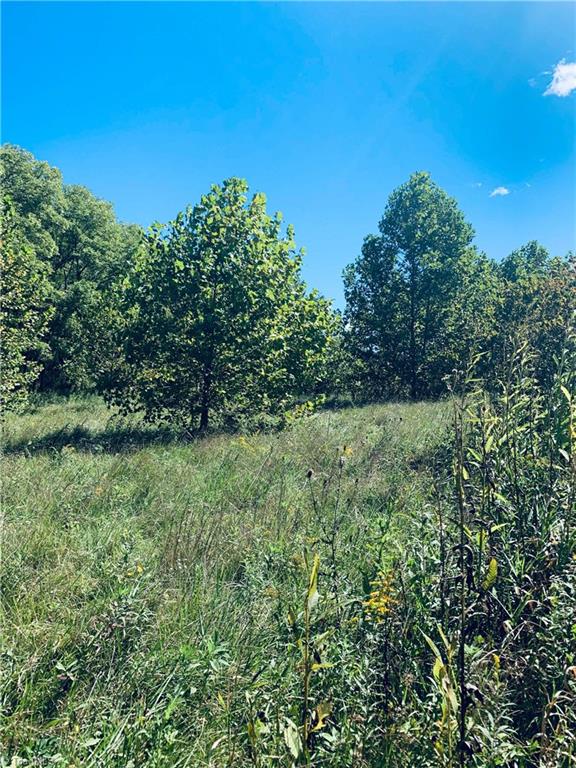 0 Willie Brown Road Crumpler, NC 28617 - Photo 2 of 5 Gallery Image 2
