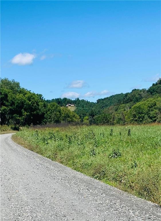 0 Willie Brown Road Crumpler, NC 28617 - Photo 4 of 5 Gallery Image 4