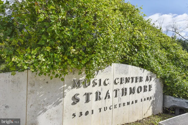 a view of a house with a garden
