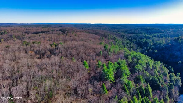 $157,700 | 7 Ervin Brown Road, Unit TRACT 7, Sunbright, TN 37872