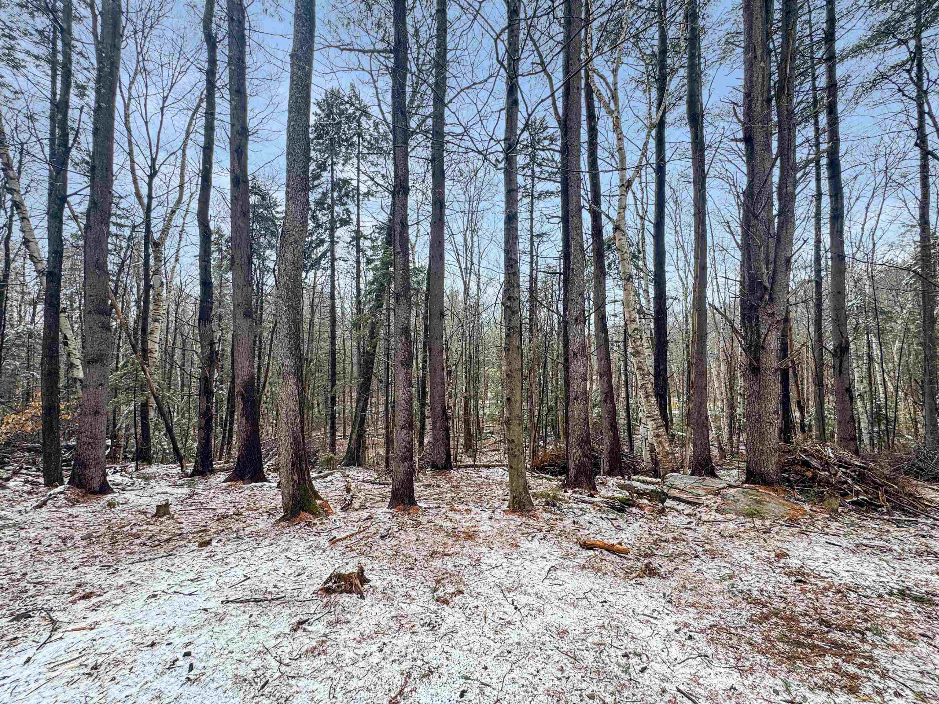 1511 East Dover Road Wardsboro, VT 05355 - Photo 25 of 30