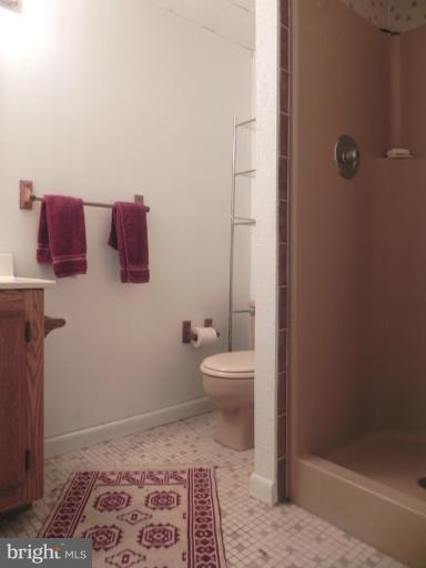 6746 Glenkirk Road Baltimore, MD 21239 - Photo 14 of 29 Lower level bath