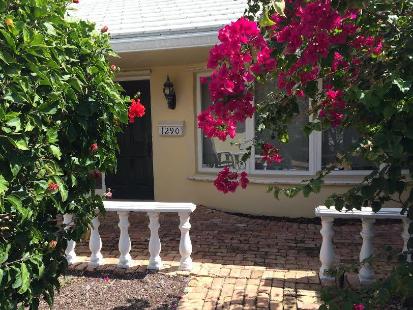 a view of a flowers in front of a house