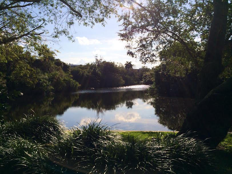 1290 Cypress Way Boca Raton, FL 33486 - Photo 15 of 15 a view of lake