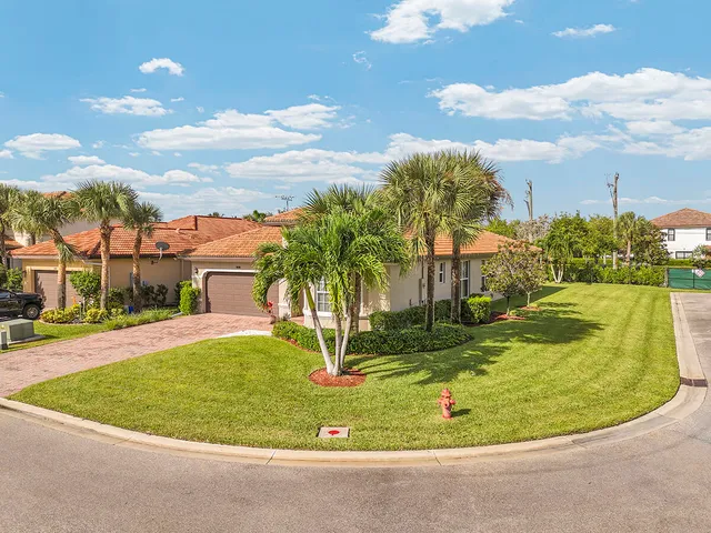 a view of a park with palm trees