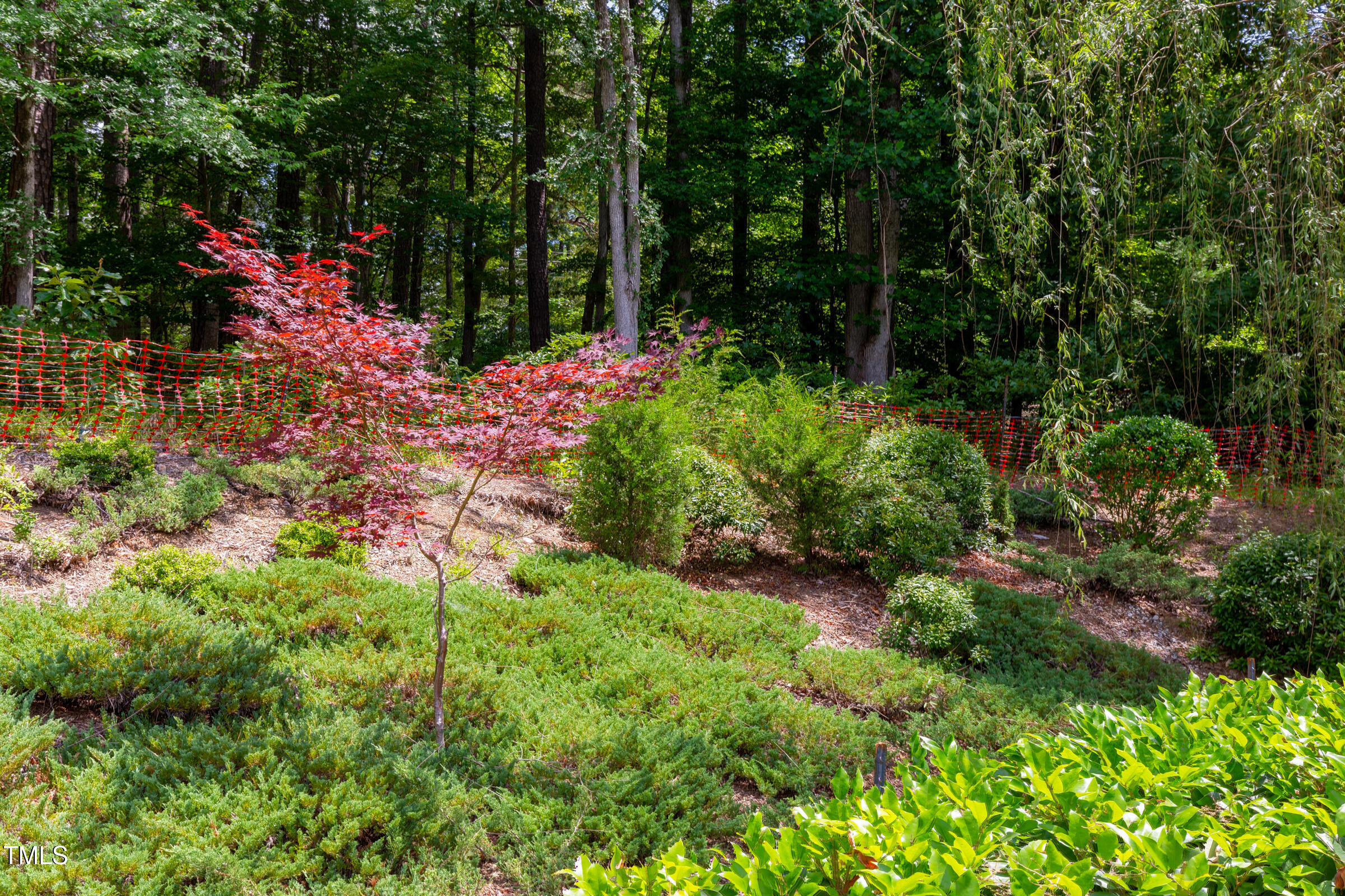 3129 Umstead View Drive Raleigh, NC 27607 - Photo 6 of 17 3125 Umstead 15 DeLynda Cook