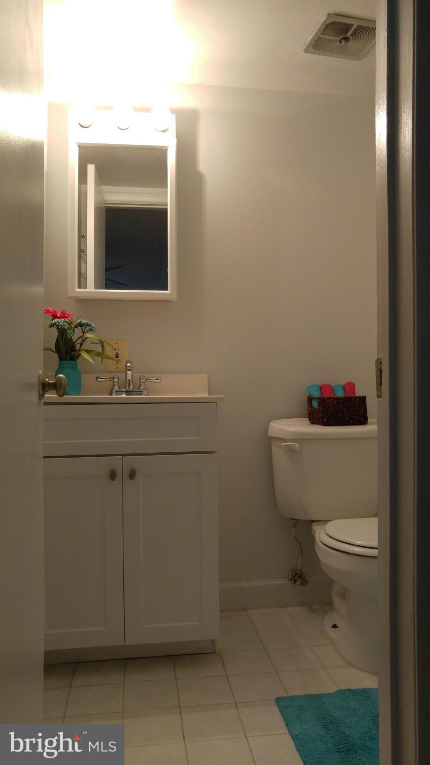 8312 Tobin Road, Unit 13 Annandale, VA 22003 - Photo 15 of 24 1/2 Master bath